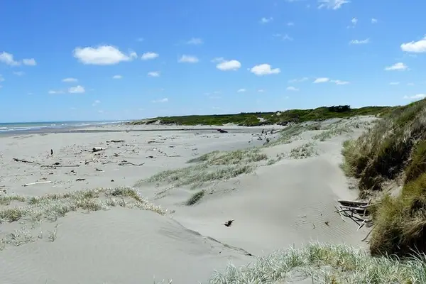 Foxton Beach, New Zealand (7)