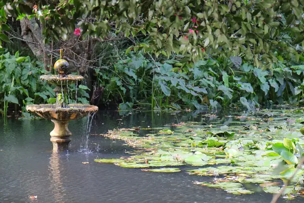 Small fountain in pond at Katikati Bird Gardens
