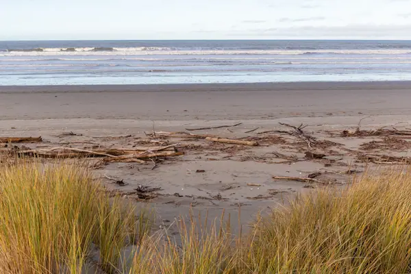 Woodend Beach, Canterbury, New Zealand (7)