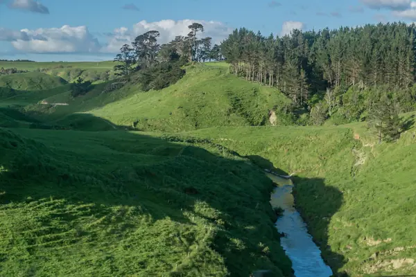 Landscape in Taranaki Region 02