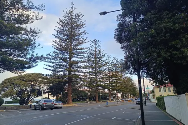 View down Marine Parade, Napier, July 2025 (1)