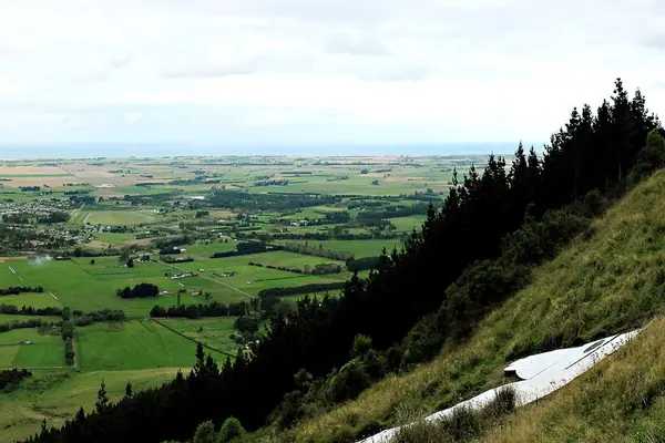 Waimate 2