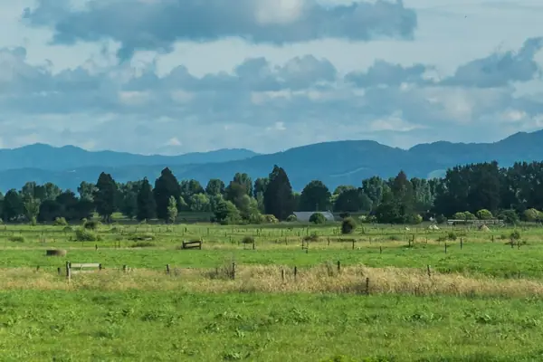 Landscape of Waikato Region 02