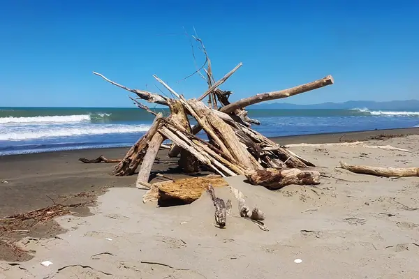 Pegasus Beach.Cantrbury. (52477750284)