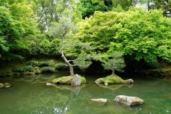 Japanese Garden - Hamilton Gardens - Hamilton, NZ - DSC06478