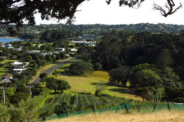 Surfdale from Kennedy Point