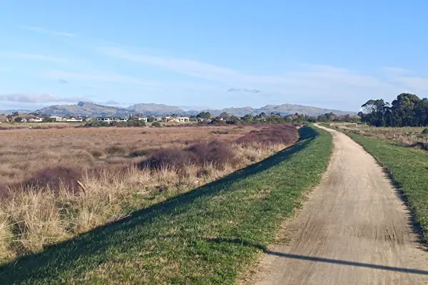 Hawke's Bay landscape taken on walking trail in Clive June 2024